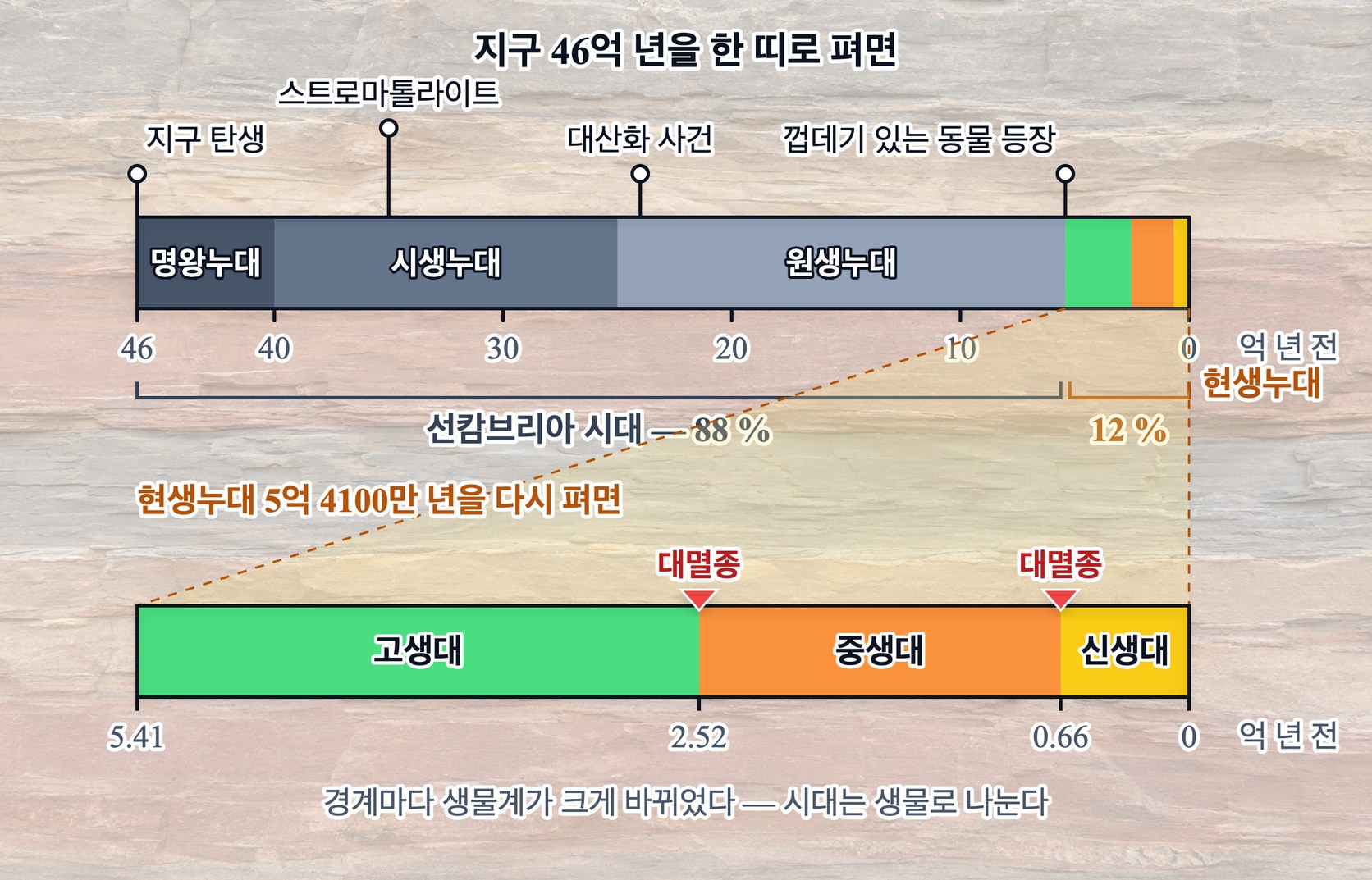 지질 시대의 길이 비교 — 46억 년을 한 띠로 펴면 선캄브리아 시대가 88 % 를 차지하고, 고생대·중생대·신생대를 합친 현생누대는 12 % 에 지나지 않는다