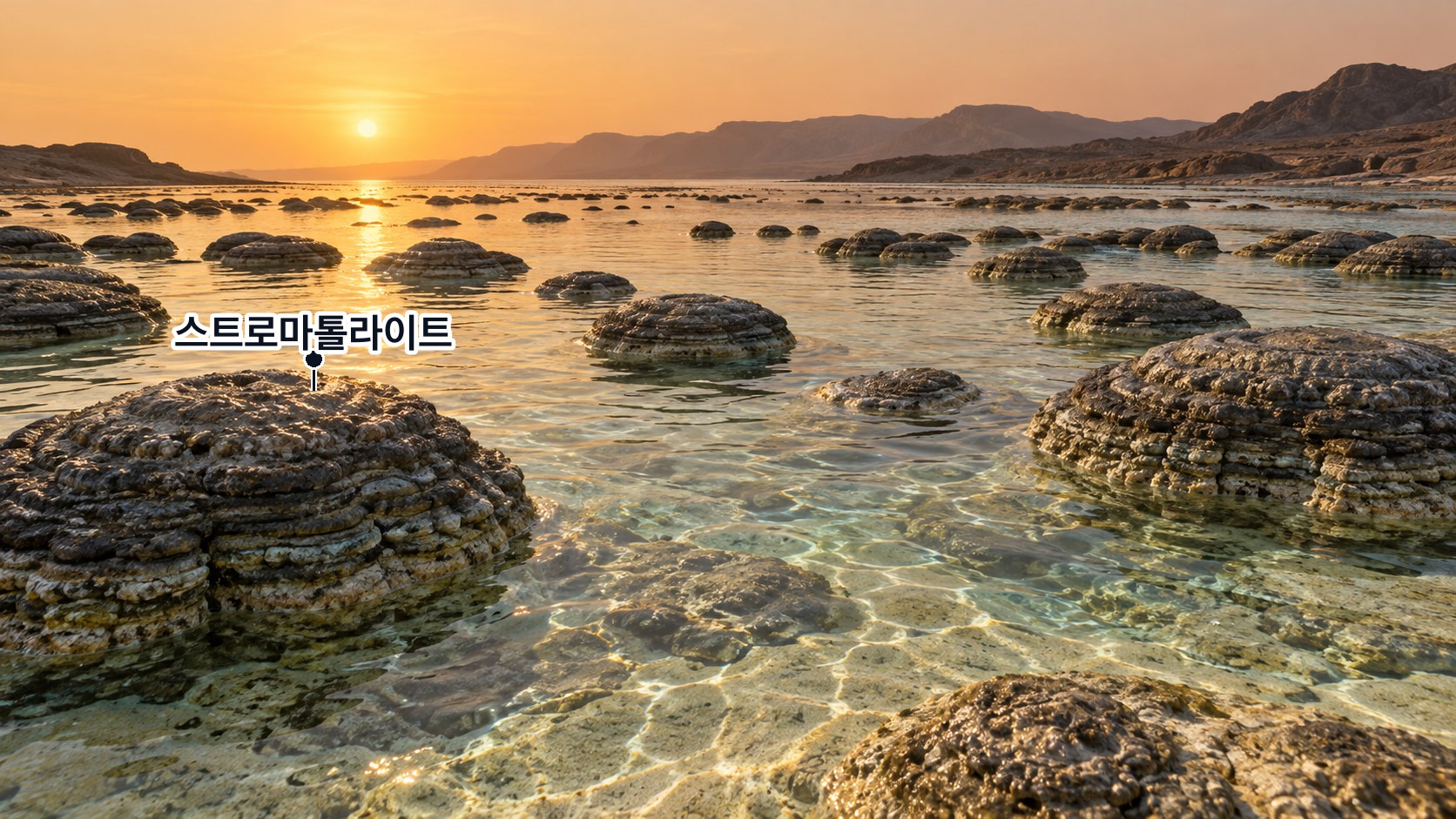 선캄브리아 시대의 얕은 바다 — 남세균이 켜켜이 쌓아 올린 돔 꼴의 스트로마톨라이트가 얕은 물에 늘어서 있고, 뒤의 육지에는 아직 식물이 하나도 없다