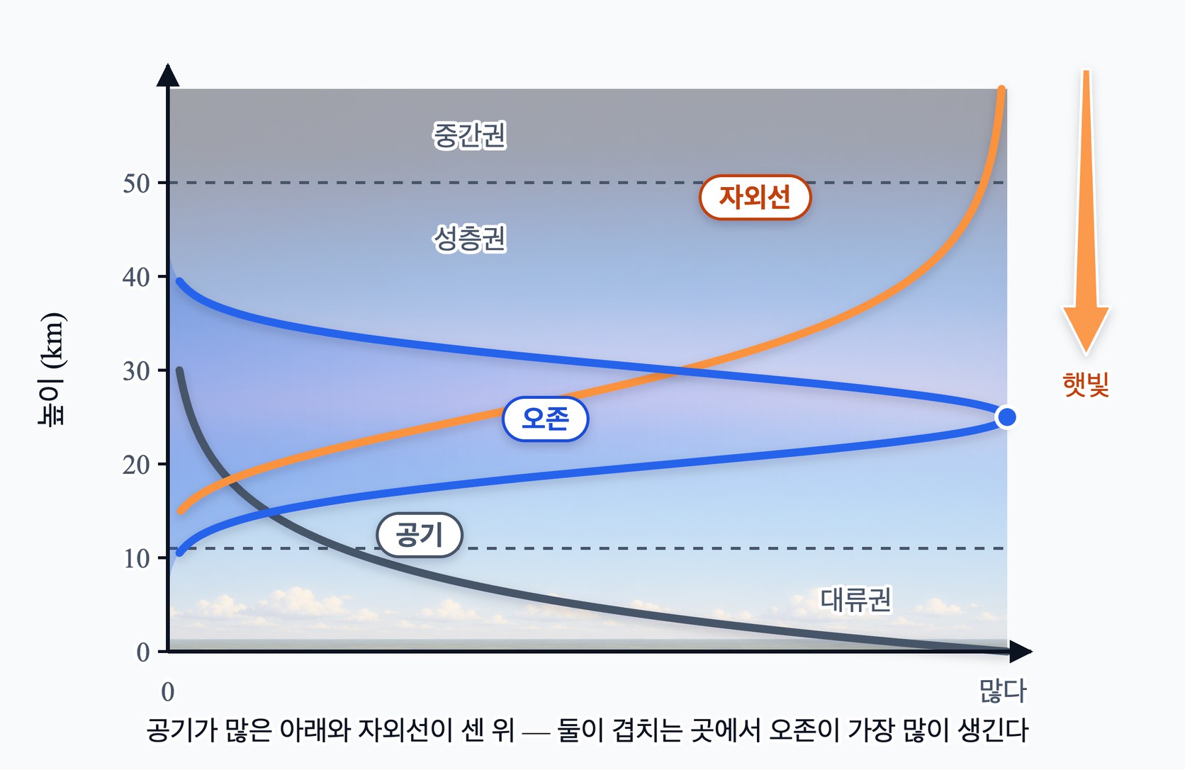높이에 따른 자외선 세기, 공기의 양, 오존의 양 — 자외선은 위에서 들어오며 아래로 갈수록 흡수되어 약해지고, 공기는 아래로 갈수록 많아지며, 둘이 모두 넉넉한 높이 20~30 km 에서 오존이 가장 많다