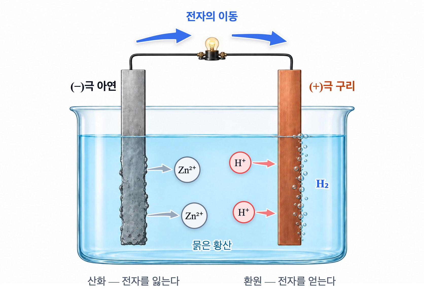 볼타 전지 — 묽은 황산에 담근 아연판에서 아연 이온이 녹아 나가고, 아연이 내놓은 전자가 도선을 따라 구리판으로 가서 수소 이온과 만나 수소 기체가 생긴다