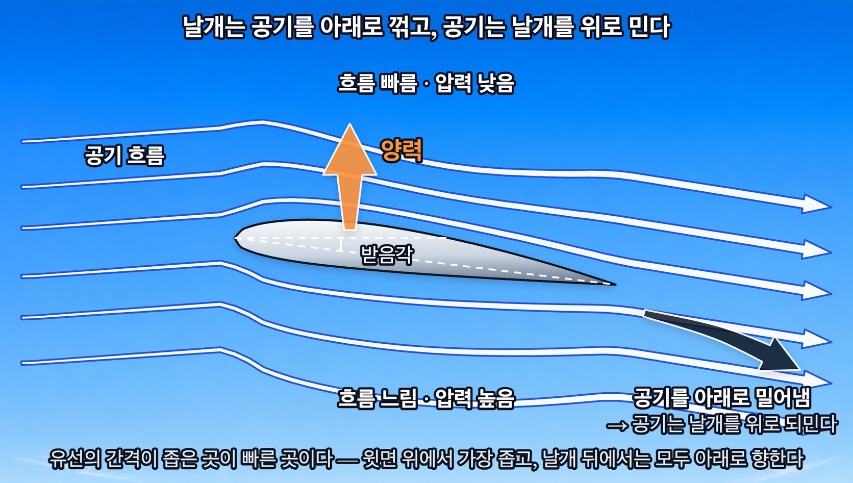날개 둘레의 공기 흐름 — 윗면의 흐름은 빠르고 압력이 낮으며 아랫면은 느리고 압력이 높다. 날개는 공기를 아래로 꺾어 보내고 그 반작용으로 위로 양력을 받는다