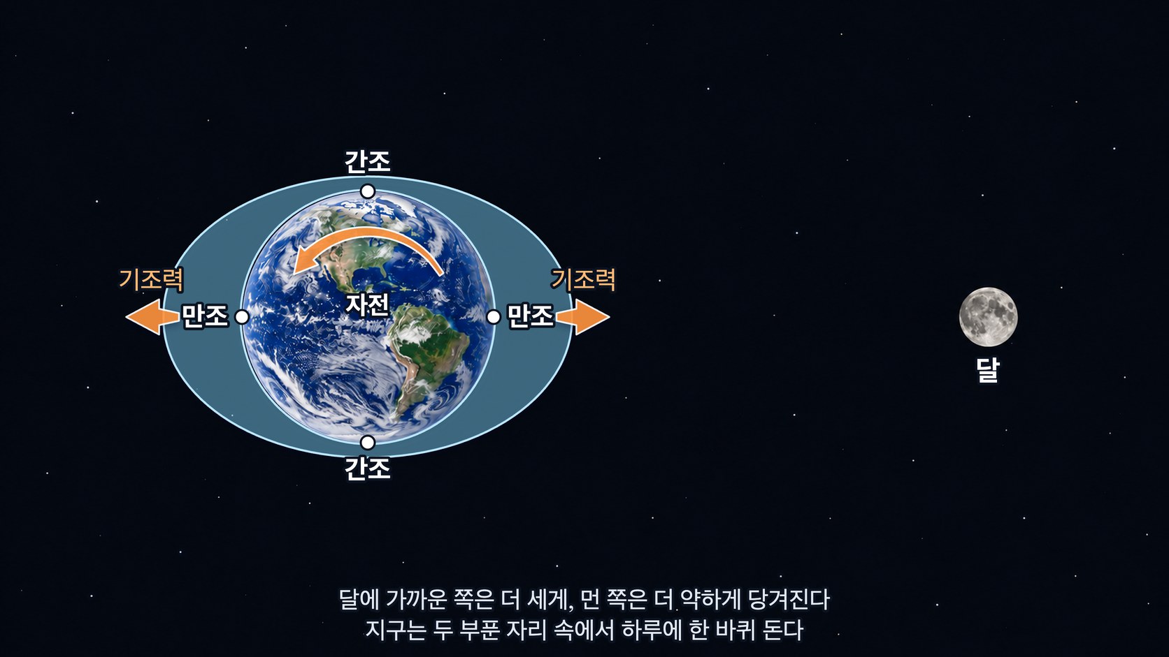 달의 기조력으로 양쪽이 부푼 바다와 그 속에서 자전하는 지구 — 한 지점이 하루에 두 번 부푼 자리를 지나며 만조를 맞고, 그 사이에 두 번 간조를 맞는다