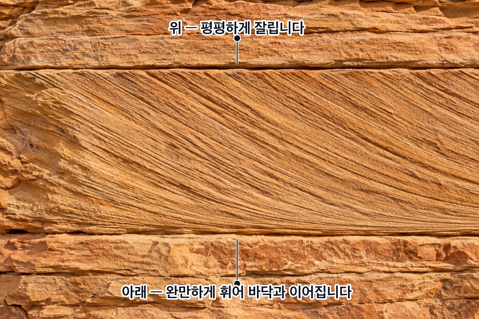 사층리가 드러난 사암 노두 — 한 층 안에서만 결이 비스듬하고, 위쪽에서는 평평하게 잘리며 아래쪽에서는 완만하게 휘어 바닥과 이어진다