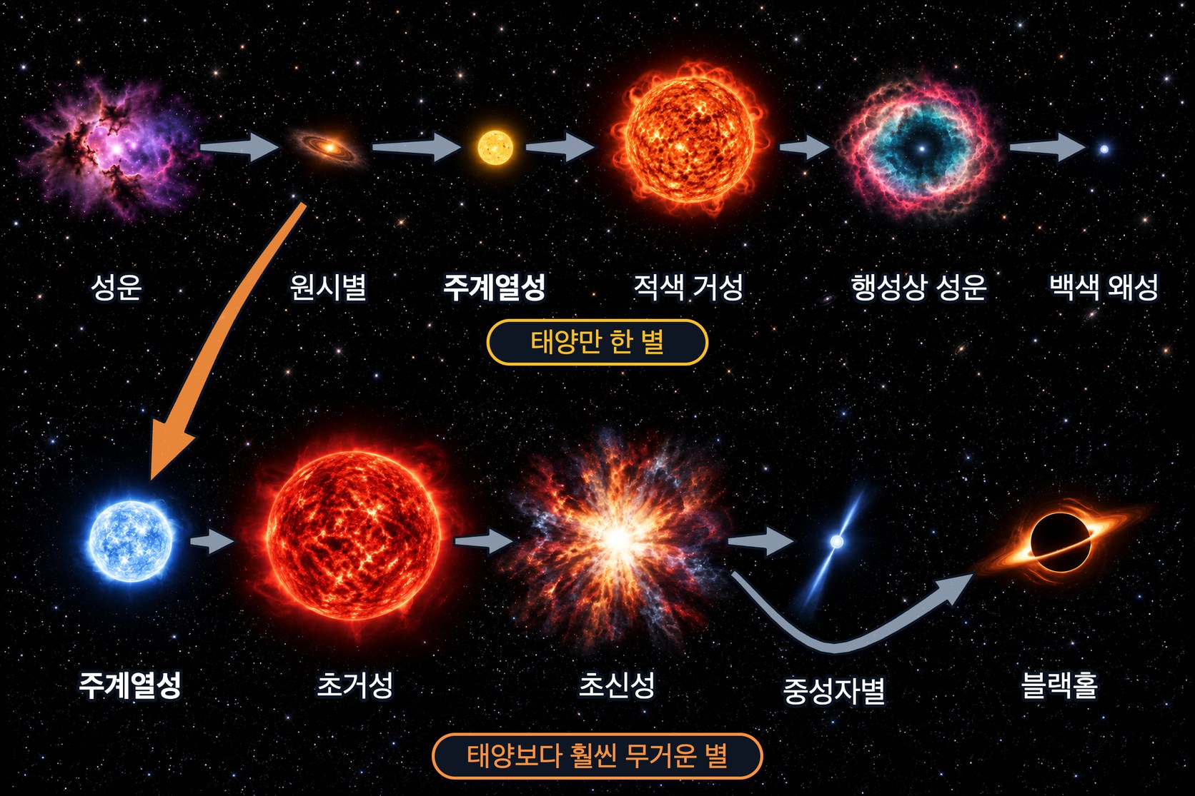별의 진화 경로 — 성운에서 태어난 원시별이 주계열성이 되고, 태양만 한 별은 적색 거성 → 행성상 성운 → 백색 왜성으로, 질량이 훨씬 큰 별은 초거성 → 초신성 → 중성자별 또는 블랙홀로 일생을 마친다