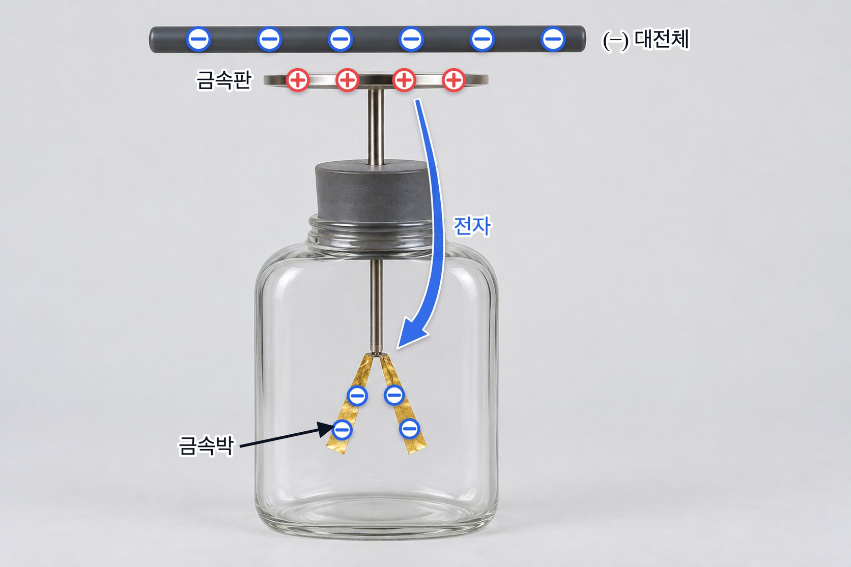 검전기의 정전기 유도 — (−) 대전체를 금속판에 가까이 하면 금속판의 전자가 밀려 금속박으로 내려가 금속판은 (+), 금속박은 (−) 를 띠고 두 금속박이 서로 밀어내 벌어진다