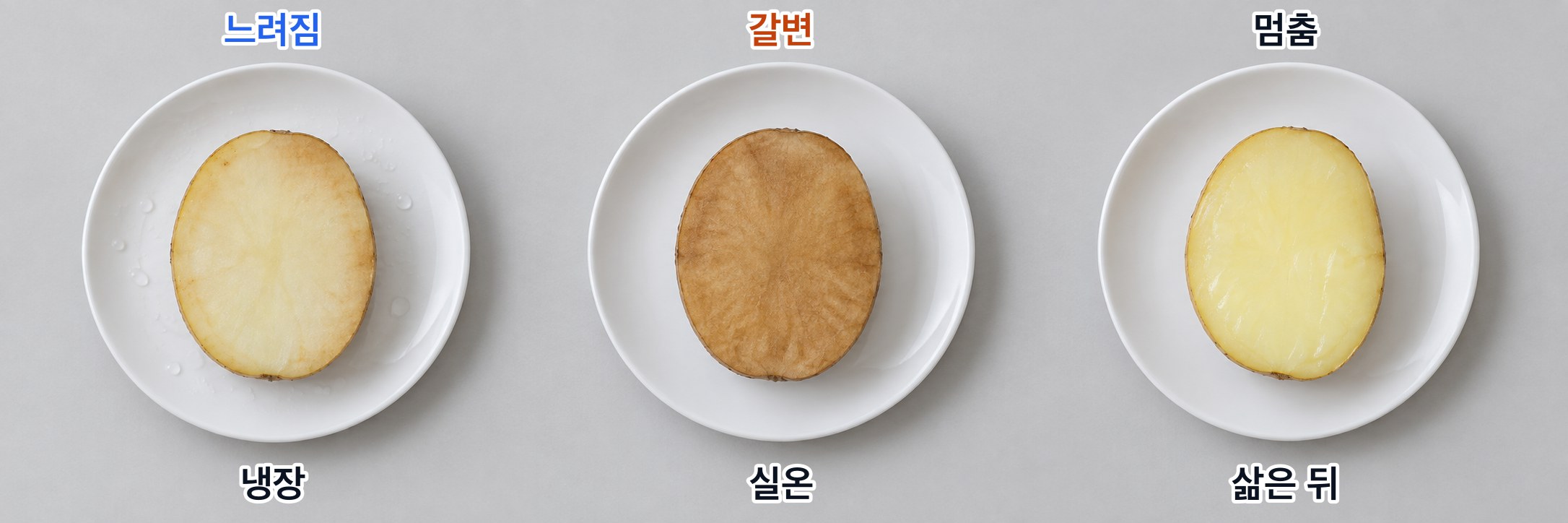 냉장한 감자·실온에 둔 감자·삶은 감자의 자른 면 — 냉장한 감자는 갈변이 느려 조금만 변했고, 실온에 둔 감자는 갈색으로 변했으며, 삶은 감자는 갈변하지 않았다